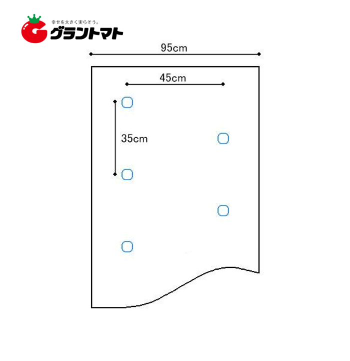 グラントマトオンラインショップ ホールマルチ 9235 黒色 穴あきマルチ 2列35ｃｍ間隔 0 02ｍｍ95ｃｍ0ｍ