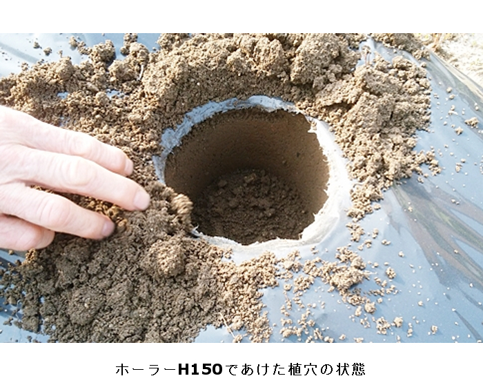 グラントマトオンラインショップ / 植穴あけ器 ホーラー H75D 普通穴深
