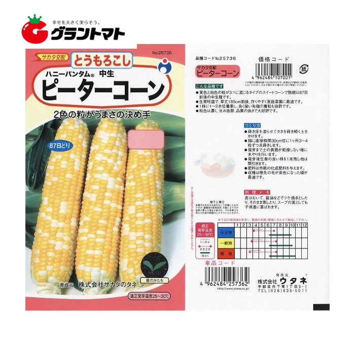 グラントマトオンラインショップ ウタネ ピーターコーン Ll トウモロコシ 125ｍｌ 野菜種子 小袋 取寄商品 ゆうパケット可